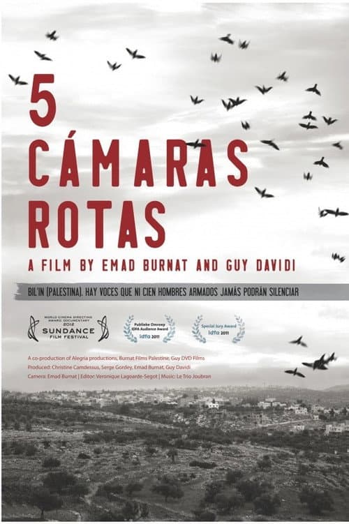 5 cámaras rotas