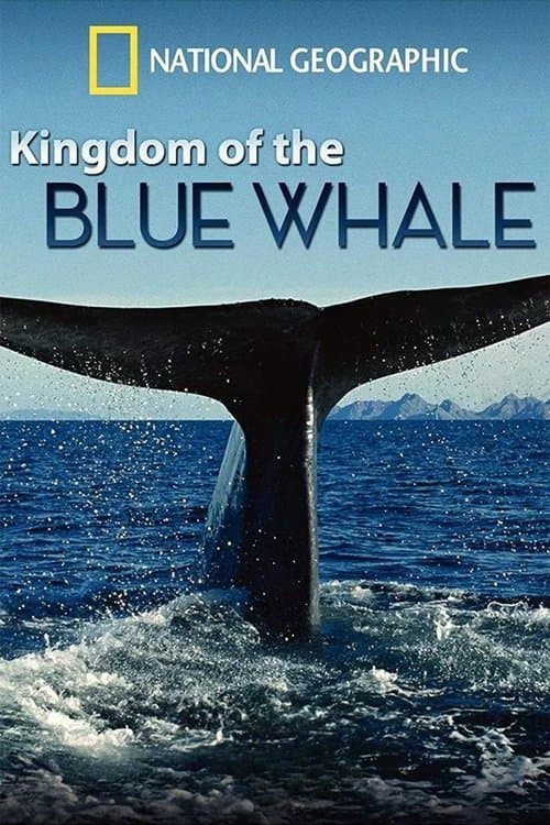 El Reino de la Ballena Azul