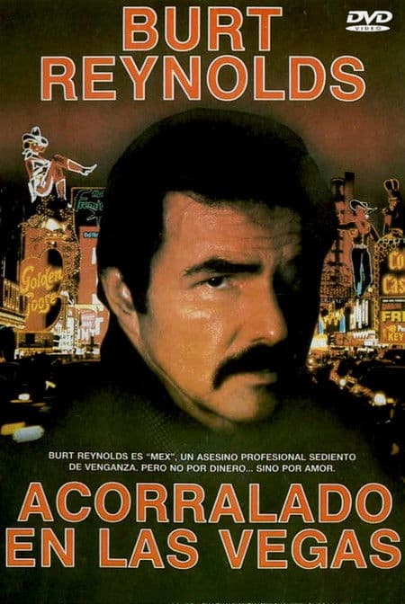 Acorralado en Las Vegas