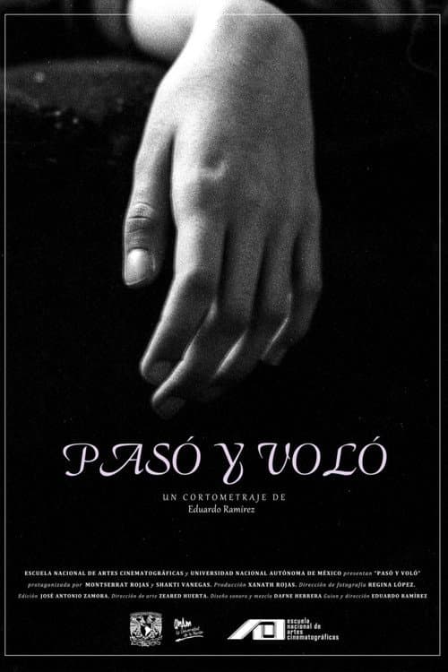 Pasó y voló