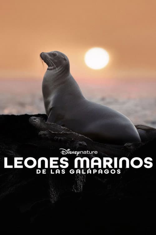 Los leones marinos de las Galápagos