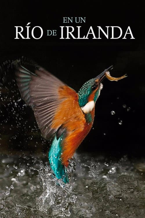 En un río de Irlanda