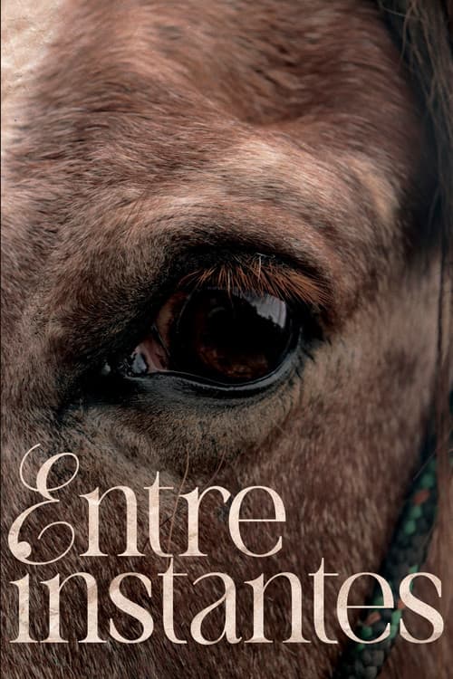 Entre Instantes