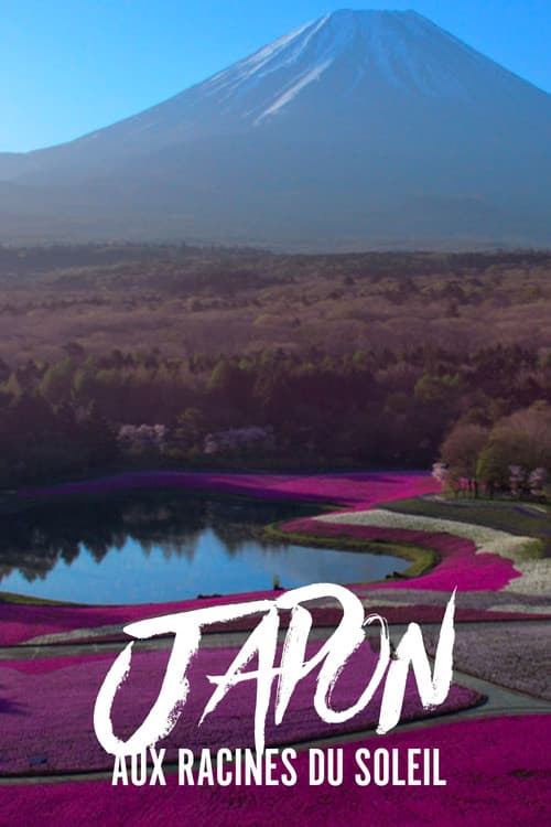 Japón desde el aire