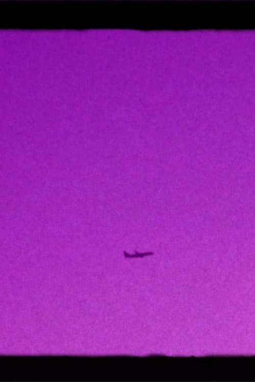 Shoegazer's Brown Eye Reverie