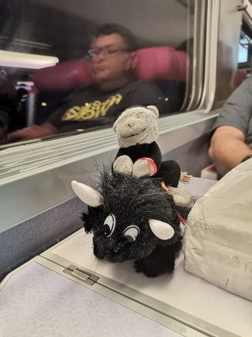 El monito se fue de viaje