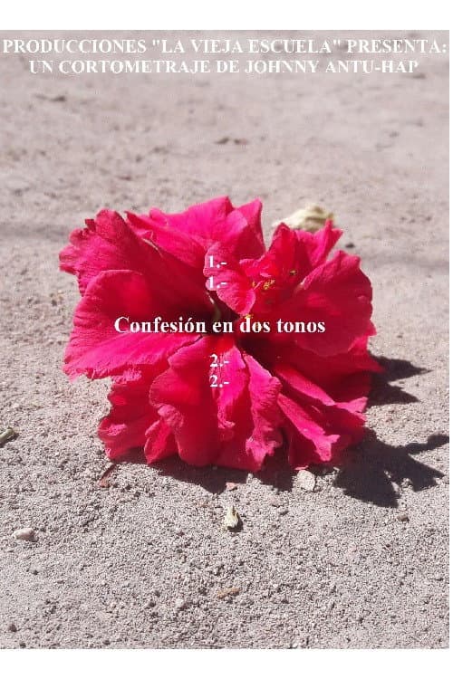 Confesión en dos tonos