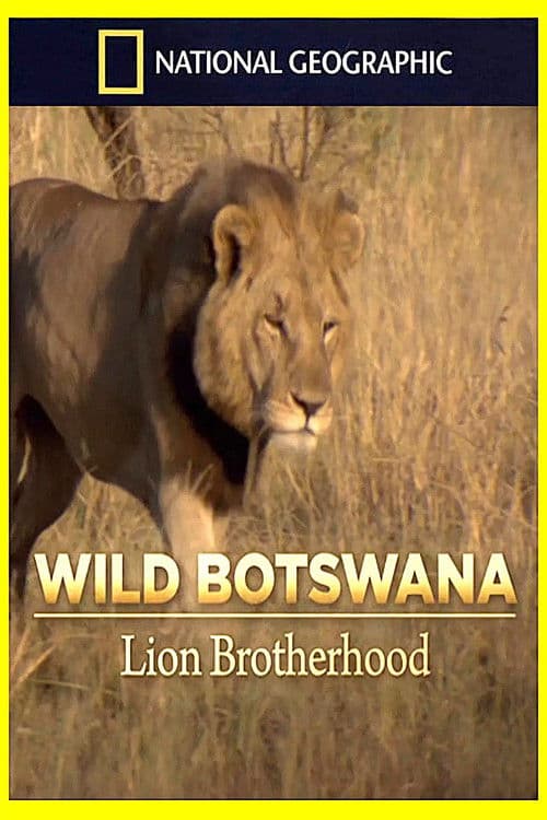 Botswana salvaje: leones al límite