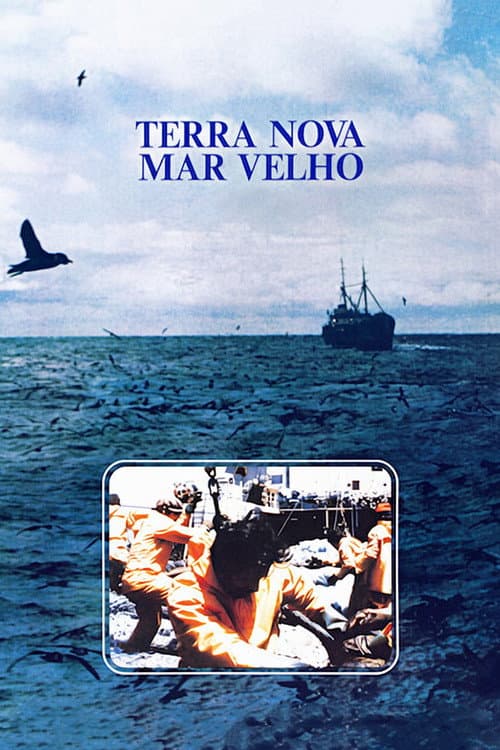 Terra Nova, Mar Viejo