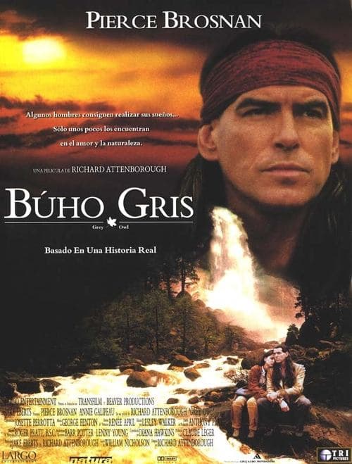 Búho Gris