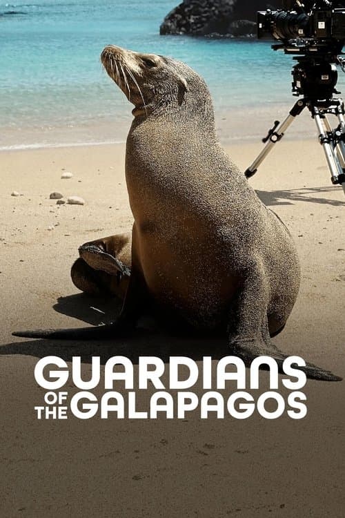 Cómo se hizo Los leones marinos de las Galápagos