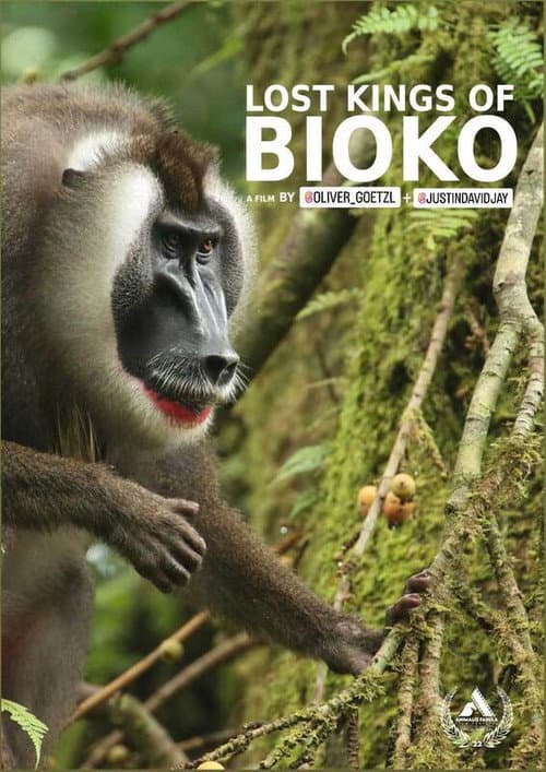 Los reyes perdidos de Bioko