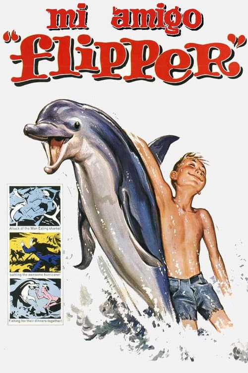Mi amigo Flipper