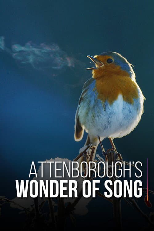Maravillas sonoras con David Attenborough