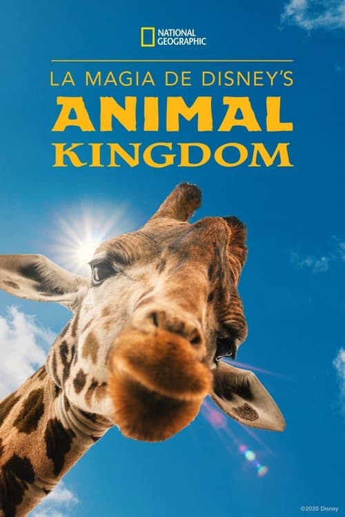 La Magia de Animal Kingdom de Disney
