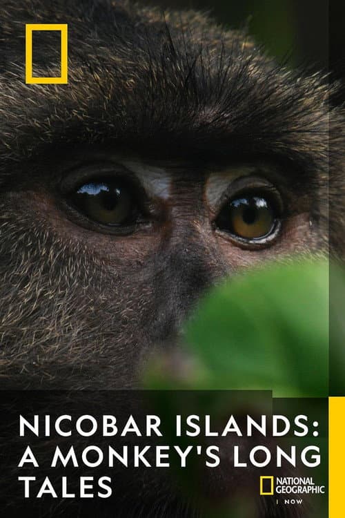 La belleza de las Islas Nicobar