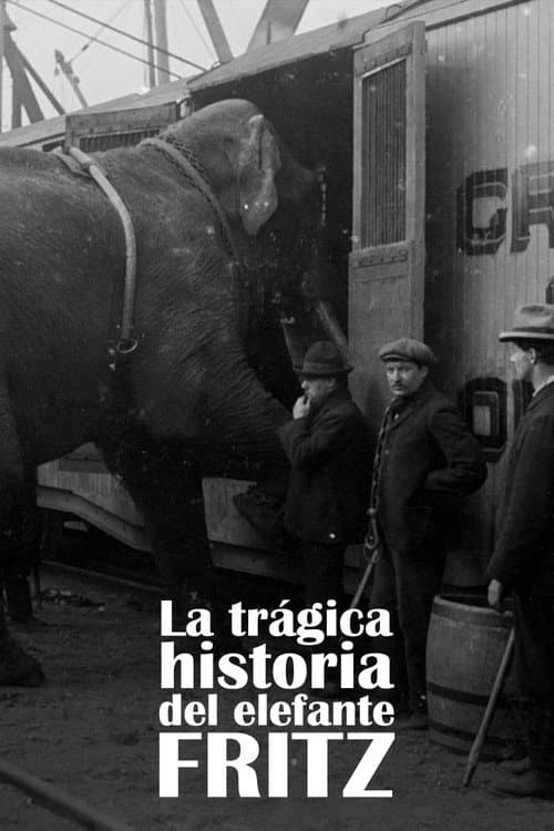 La trágica historia de Fritz el elefante