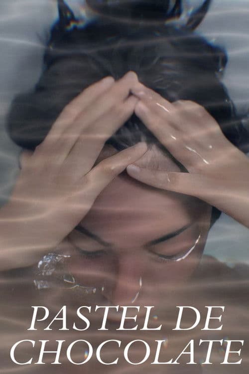 Pastel de Chocolate