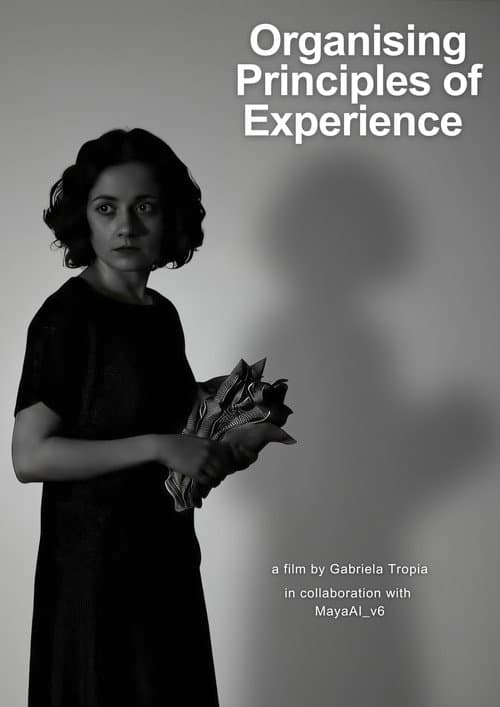 Organising Principles of Experience