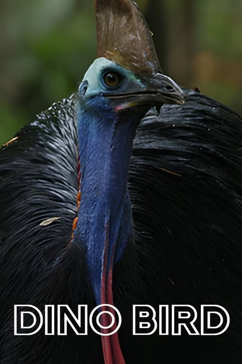 El Pajaro Dinosaurio