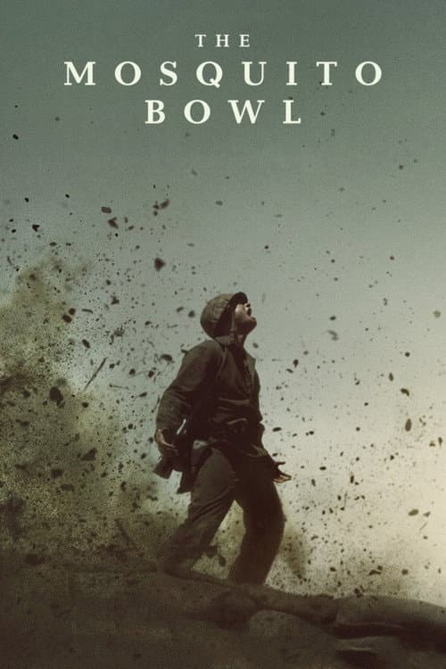 The Mosquito Bowl