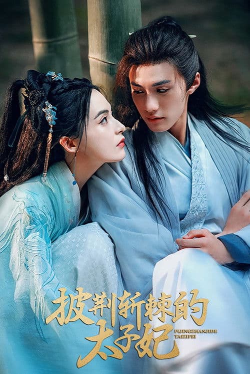 披荆斩棘的太子妃