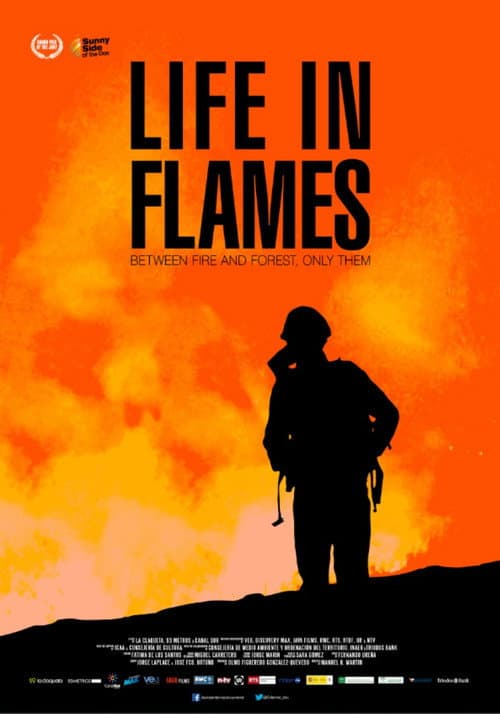 Entre el fuego y el bosque, solo ellos
