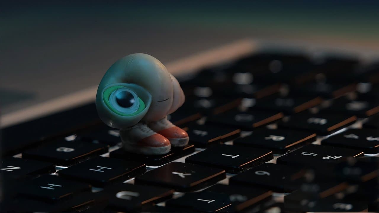 Marcel, la concha con zapatos