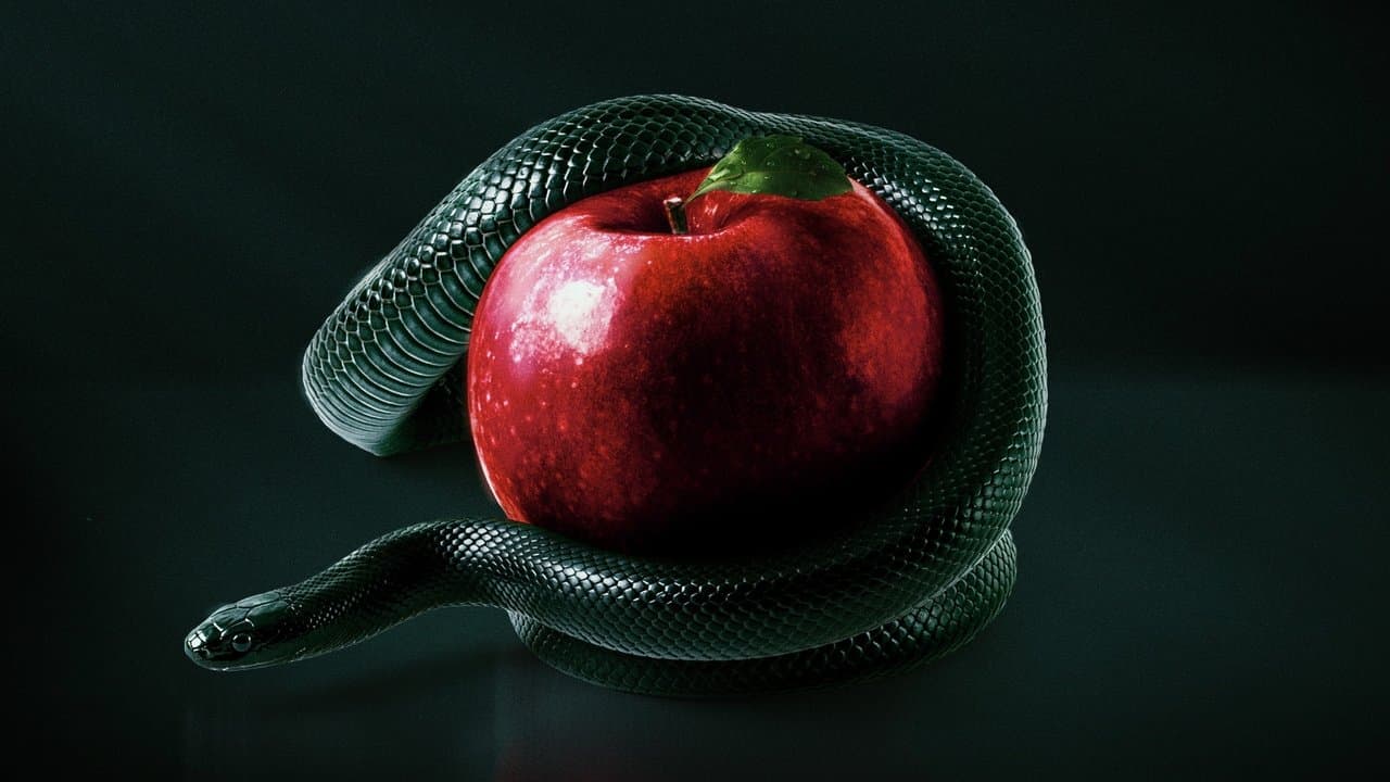 Secretos revelados de la Biblia