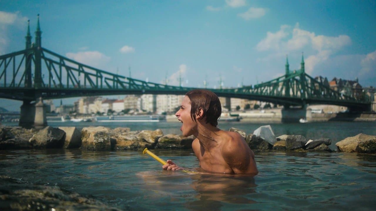 Sanyi, el rey de las calles