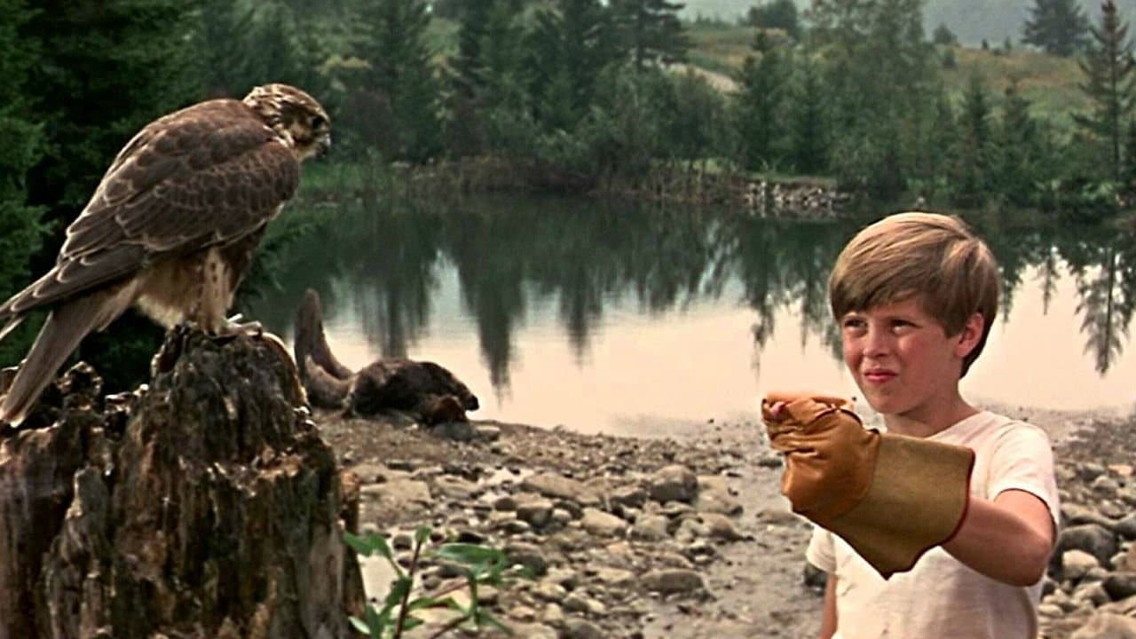 El muchacho y su montaña