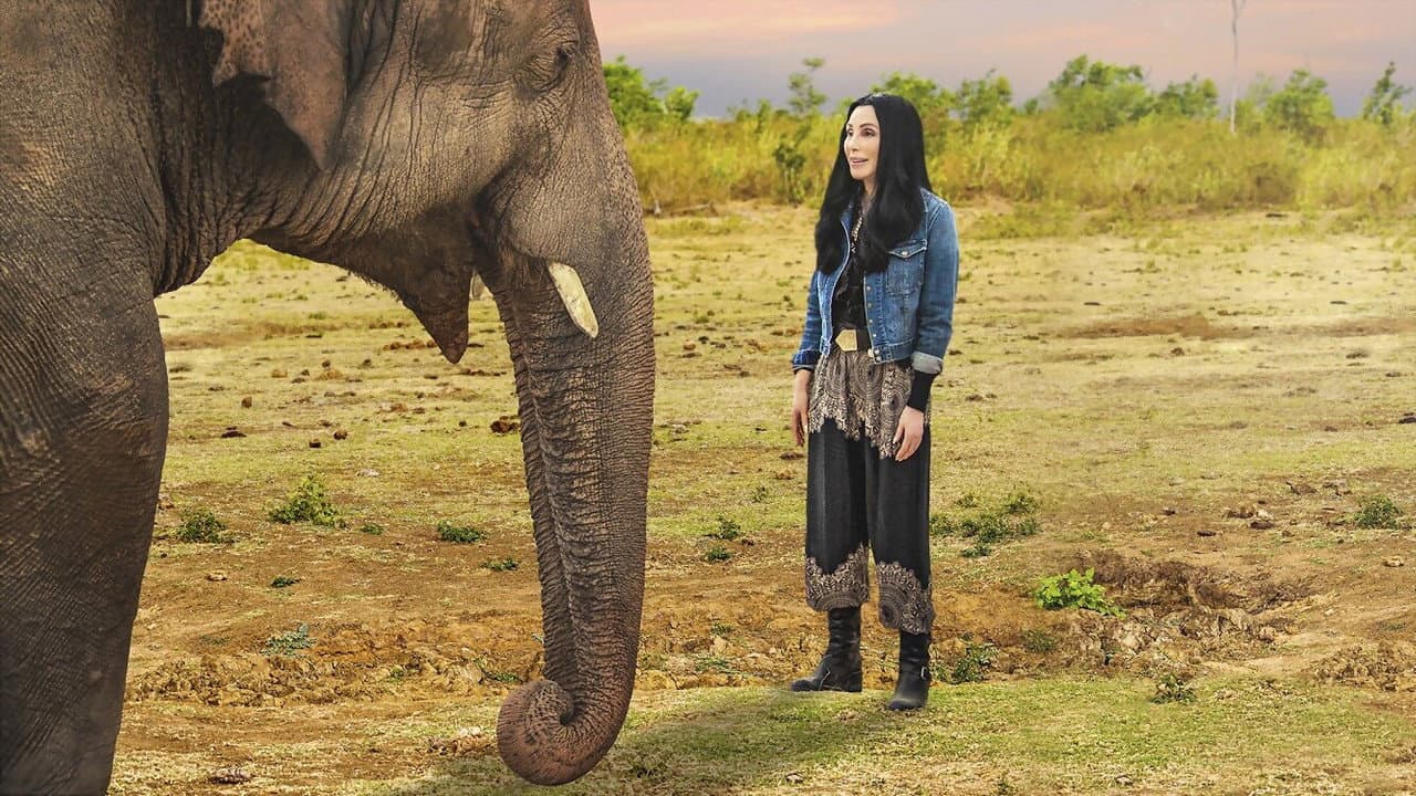 Cher y el elefante solitario