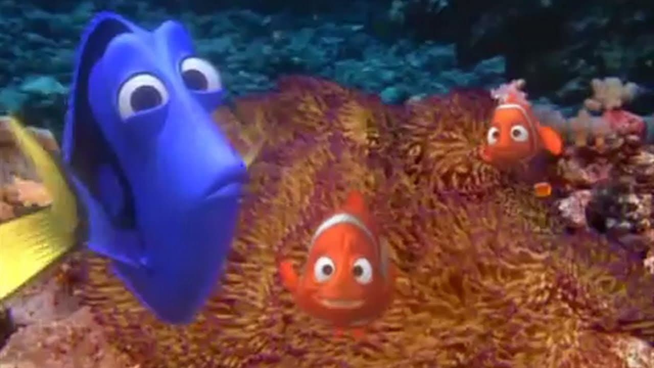 Buscando a Nemo: Explorando el arrecife