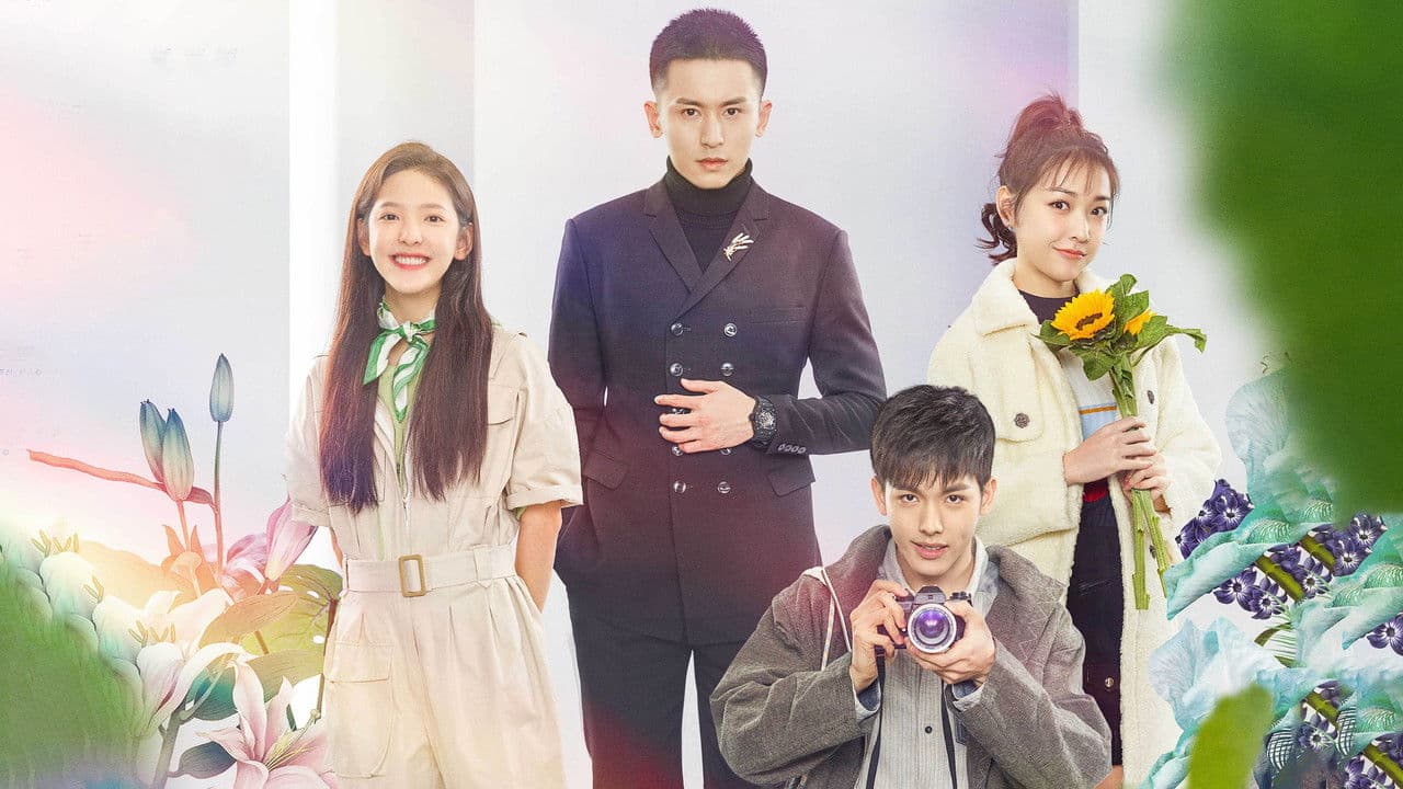 谁都渴望遇见你