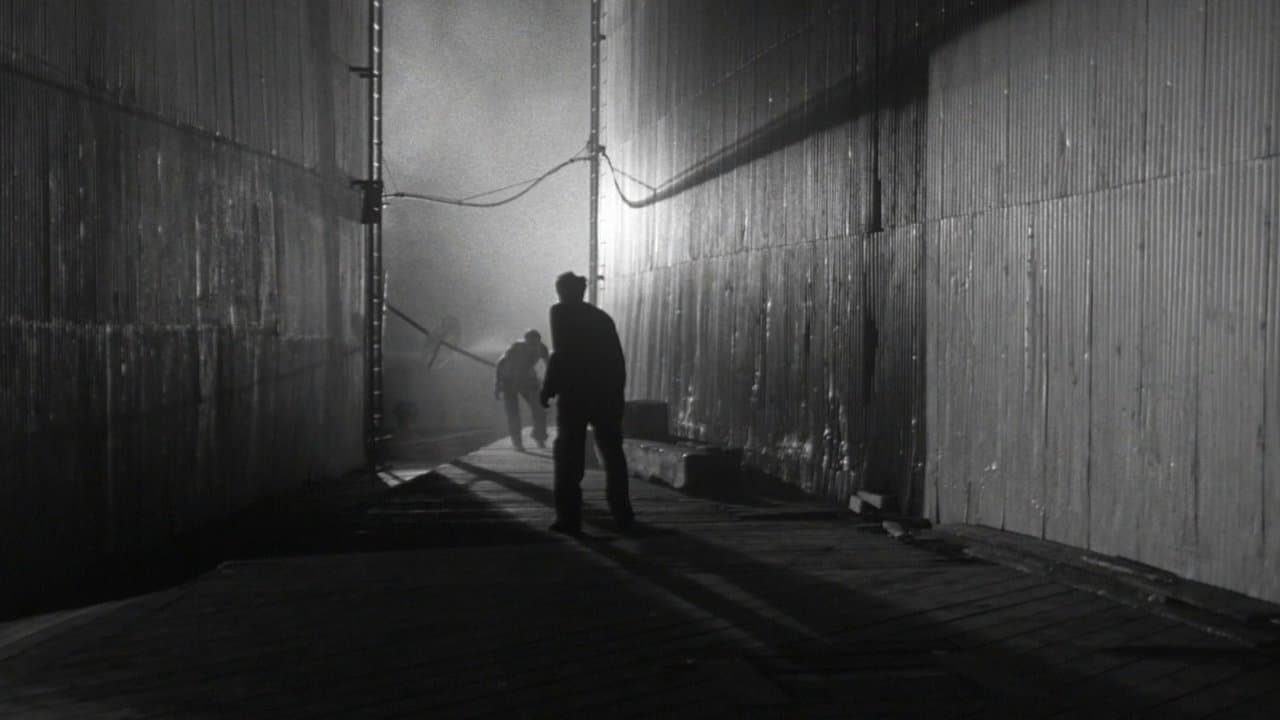 Pánico en las calles