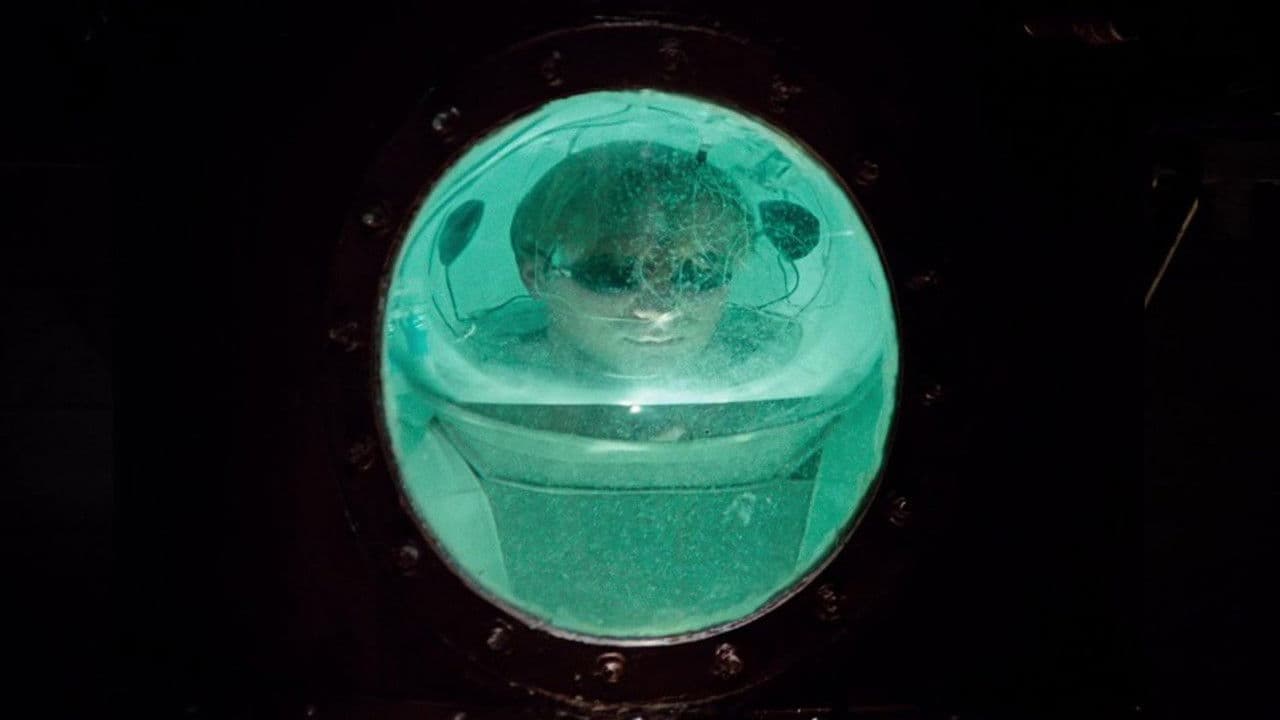 Un viaje alucinante al fondo de la mente