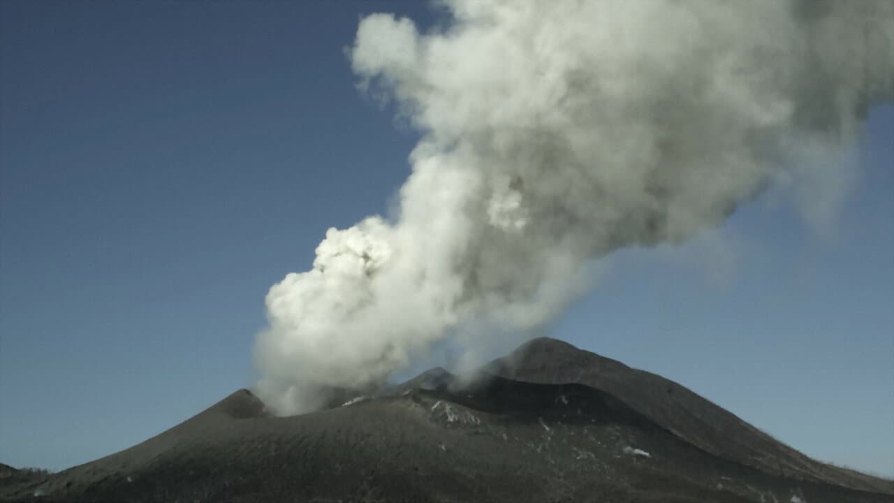 Sobrevivir a las catástrofes. Las estrategias de la naturaleza