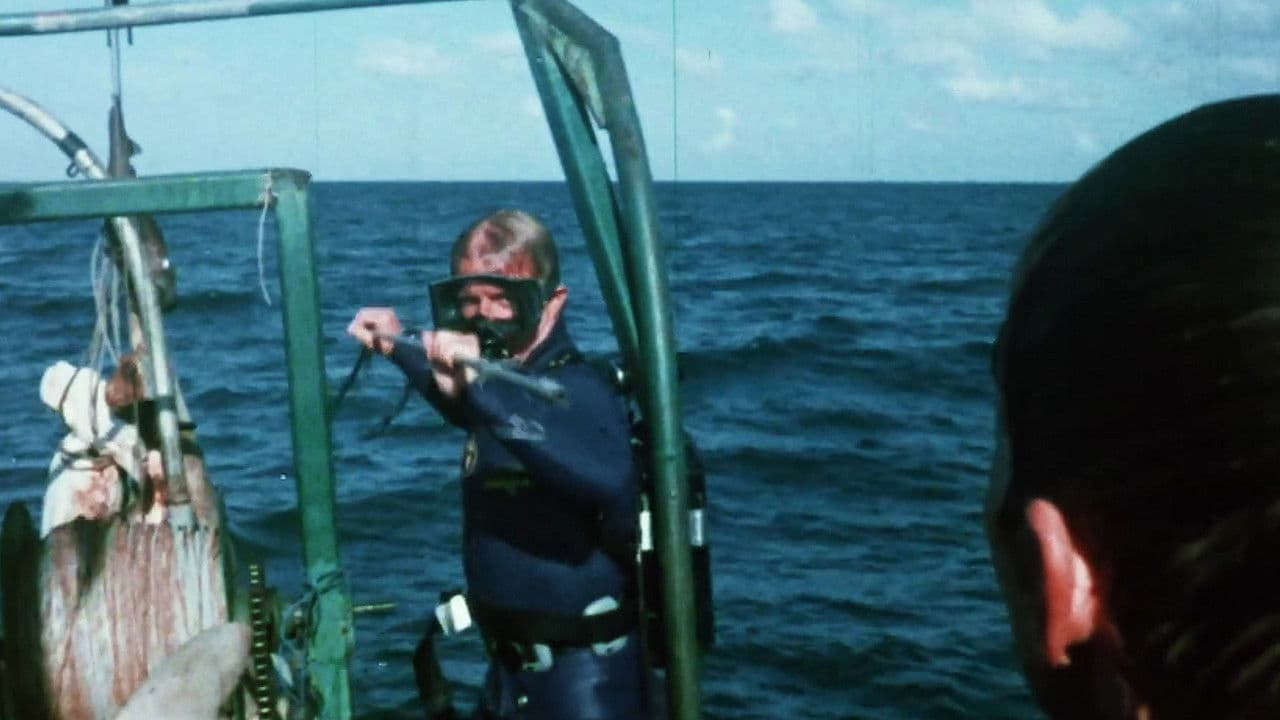 Mako, el tiburón de la muerte