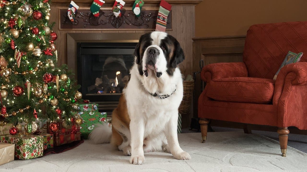 Beethoven: Aventura de navidad