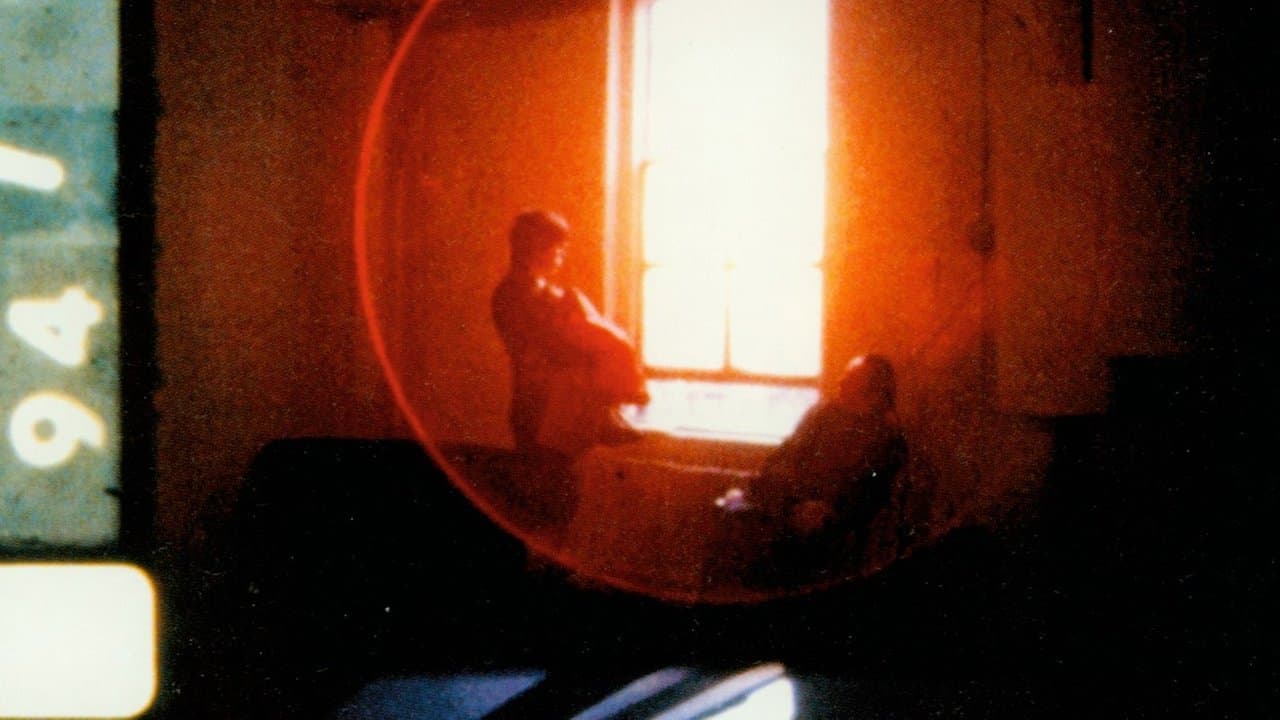 En el camino, de cuando en cuando, vislumbré breves momentos de belleza