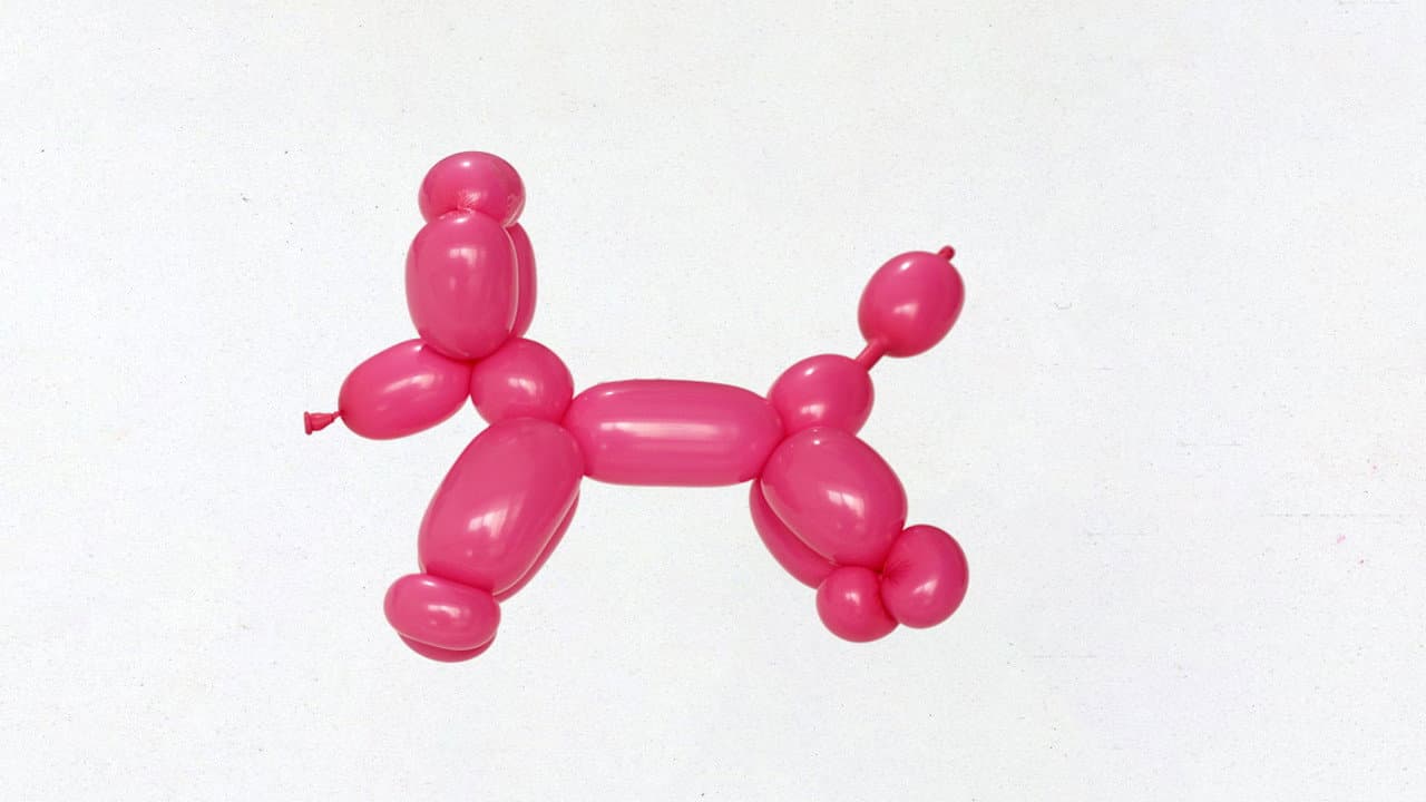 Los Años del Conejo