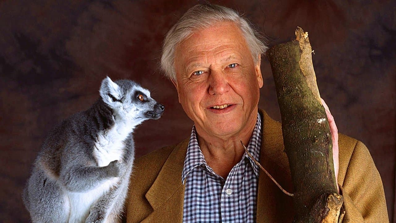 La Vida de los Mamíferos