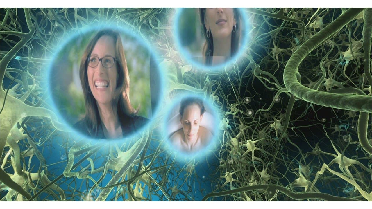 ¿¡Y tú qué sabes!?