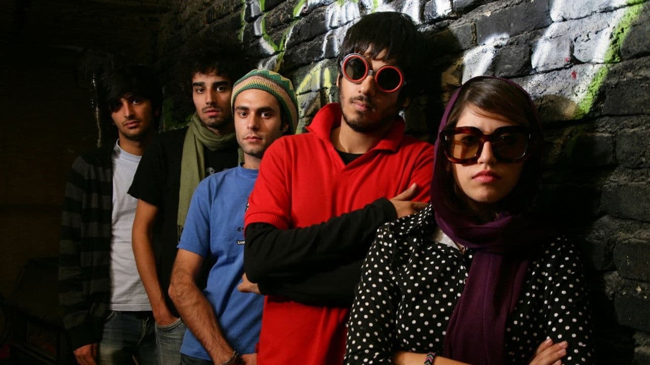 Nadie sabe nada de gatos persas