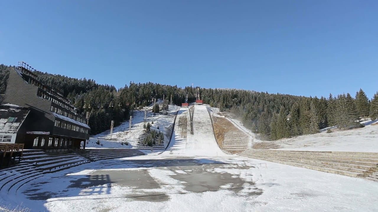 El gran éxtasis del escultor de madera Steiner