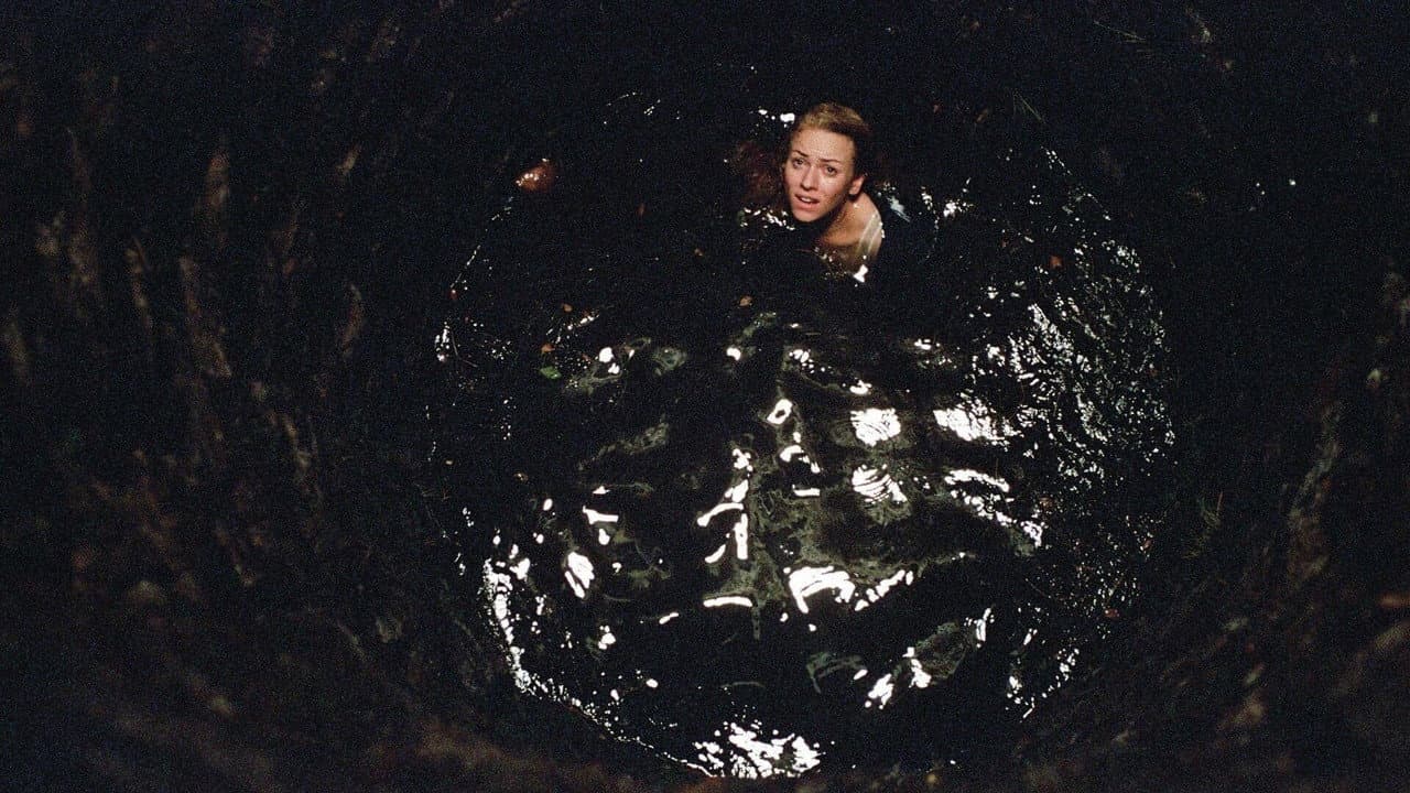 The Ring 2 (La señal 2)
