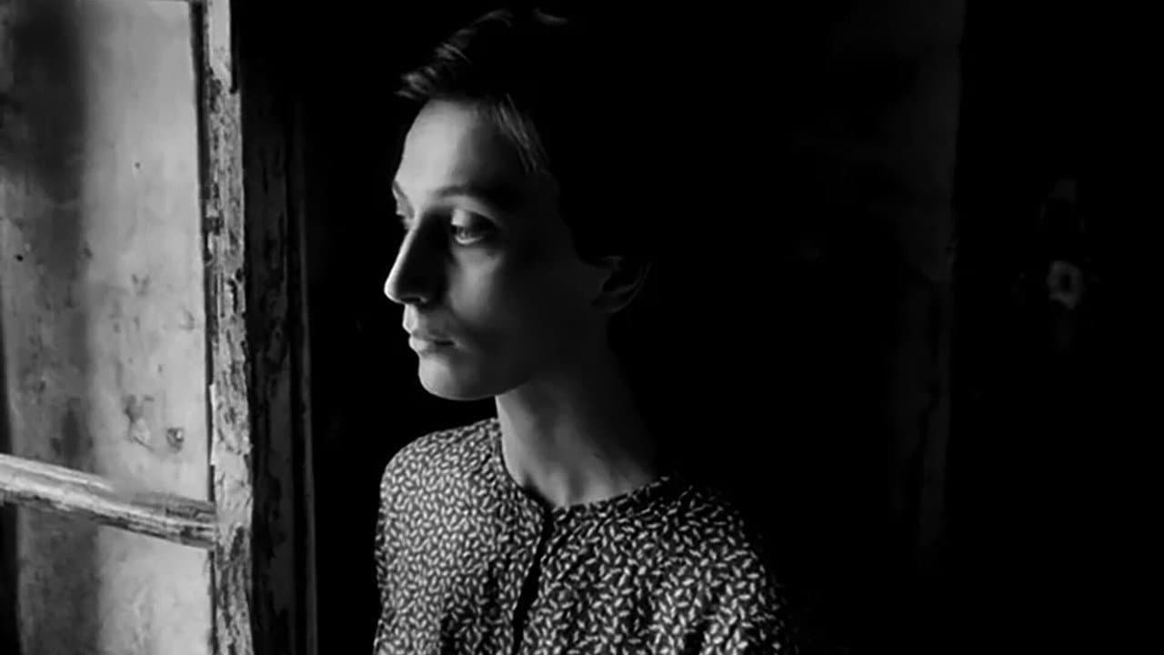 XIX საუკუნის ქართული ქრონიკა