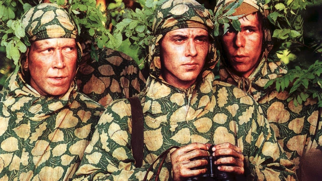 Estrella: señal de socorro