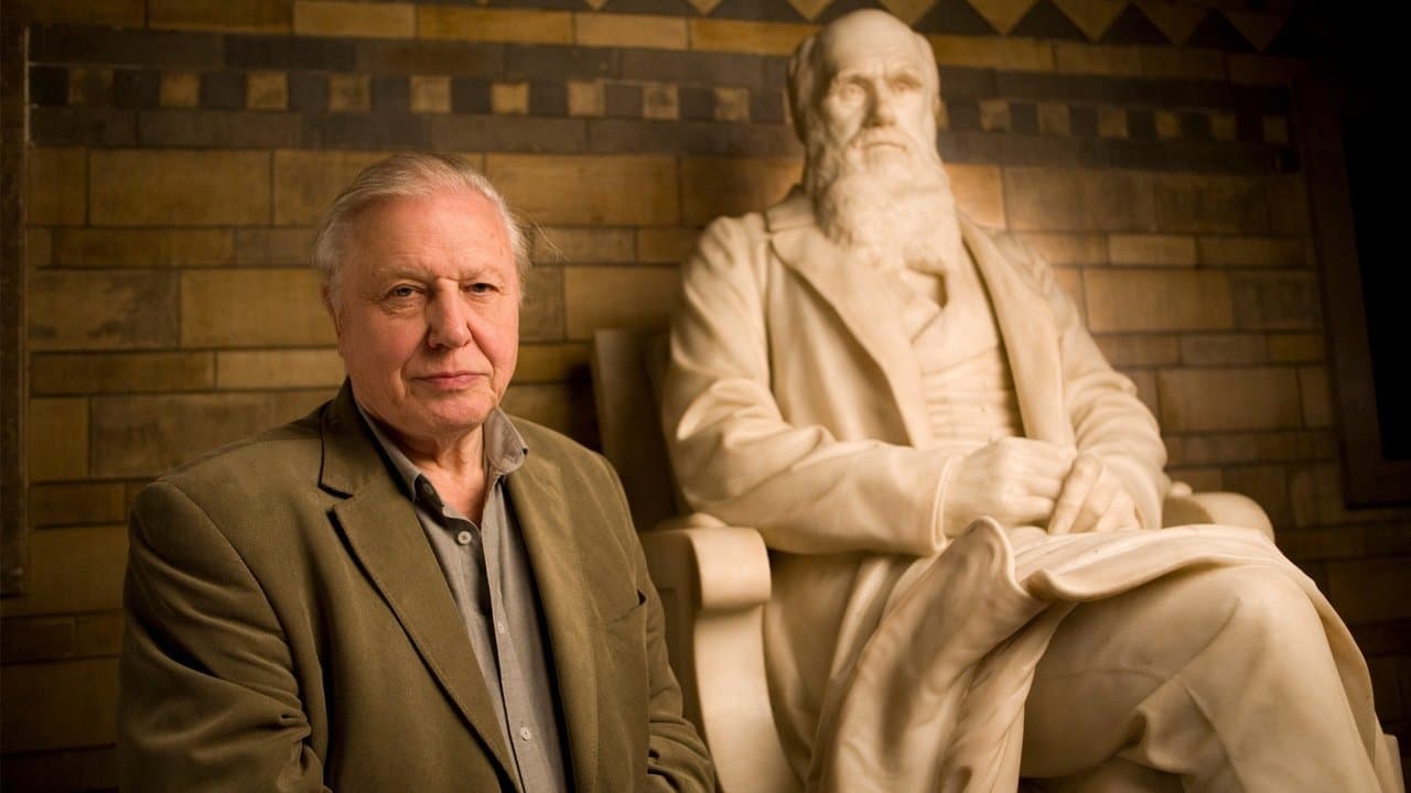 Charles Darwin y el árbol de la vida