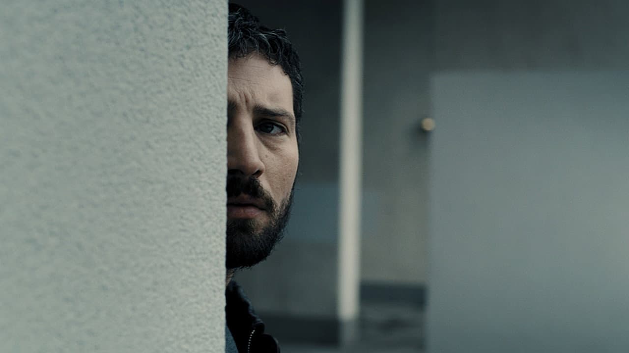 Grietas en el Asfalto